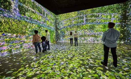 FRAMELESS Immersive Art Experience FRAMELESS Immersive Art Experience 1