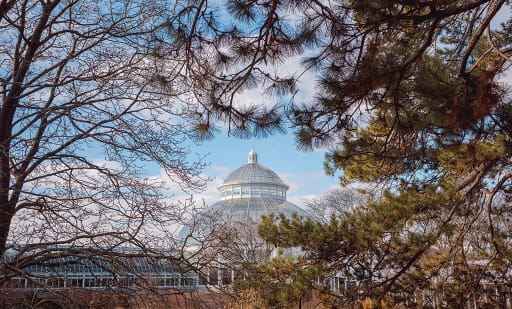 New York Botanical Garden 2