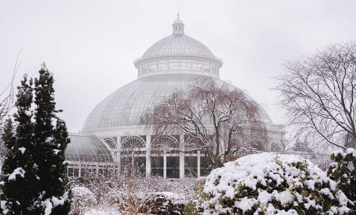 New York Botanical Garden 1