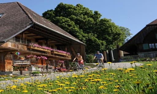Best of Switzerland Tours AG, Sihlquai Coach Parking 1