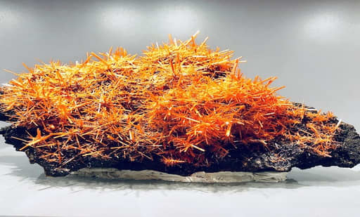 Gallery of Mineralogy and Geology 2