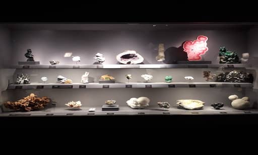Gallery of Mineralogy and Geology 3