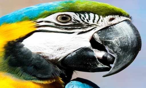 Zoo d'Amnéville 3