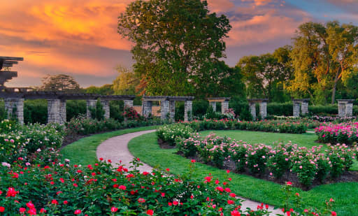 American Rose Center 1