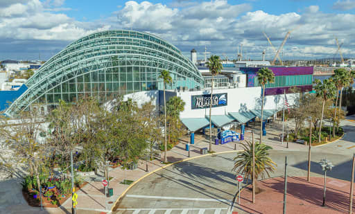 The Florida Aquarium 1