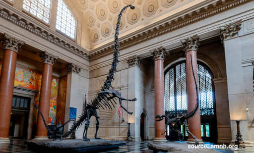 American Museum of Natural History (AMNH) American Museum of Natural History (AMNH) 3