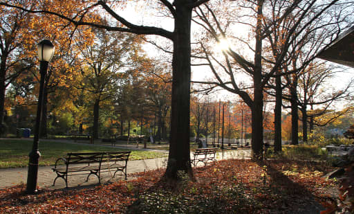 Queens Botanical Garden 2