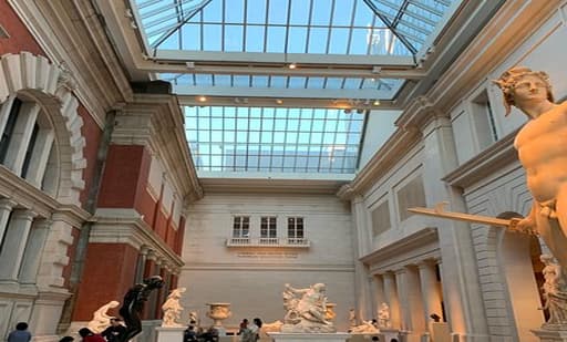 The Metropolitan Museum of Art 3
