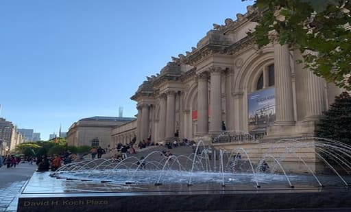 The Metropolitan Museum of Art 1