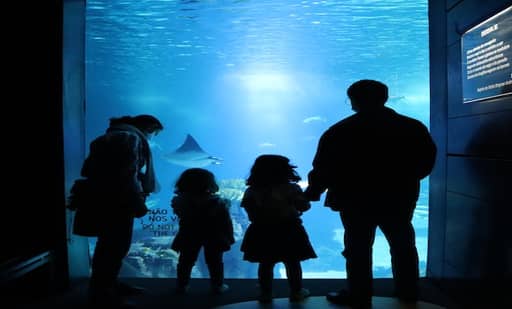 Oceanário de Lisboa 2
