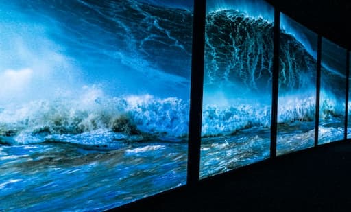 Oceanário de Lisboa 3