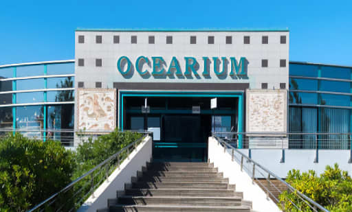Océarium Croisic 1