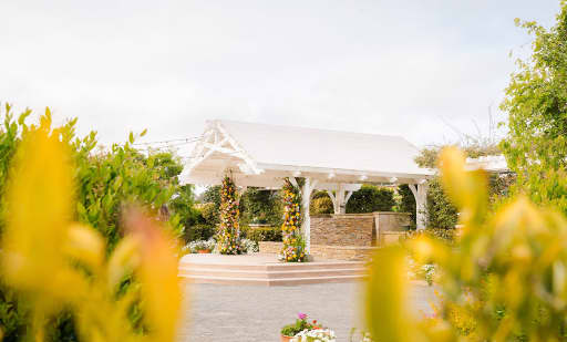 The Flower Fields 4