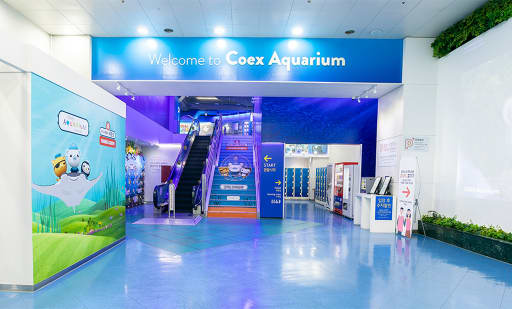 코엑스 아쿠아리움 (COEX Aquarium) 3