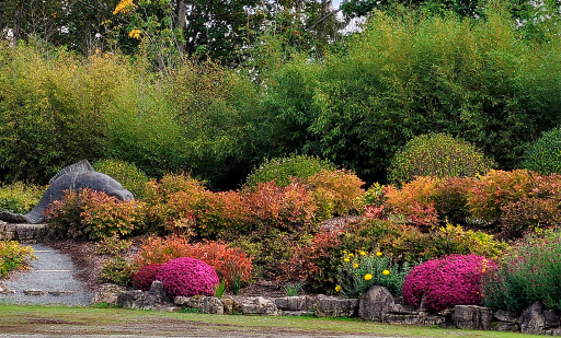 Seattle Chinese Garden 3