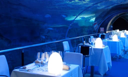 Aquarium Donostia - San Sebastián 2