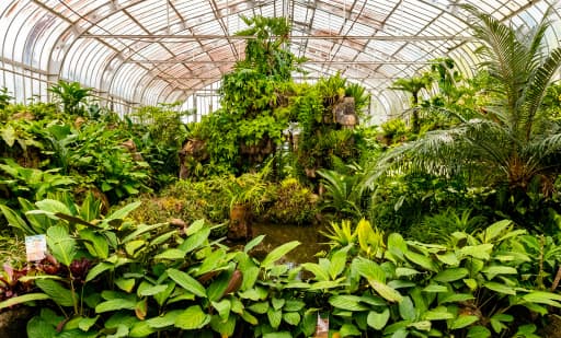 São Paulo Botanical Garden 2