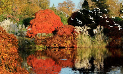 Kew Wakehurst Kew Wakehurst 3