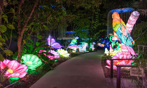 Jungle Island 2