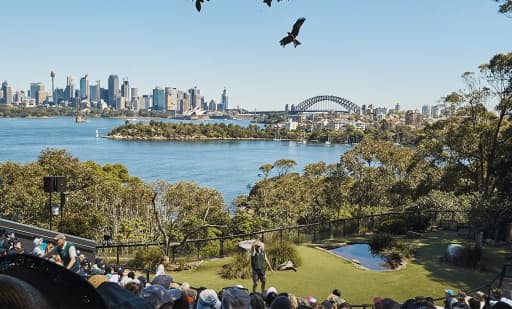 Taronga Zoo 1