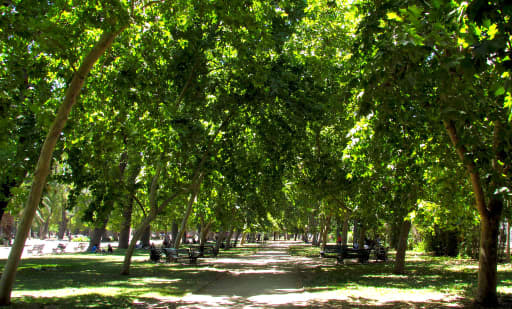 Parque Quinta Normal 3