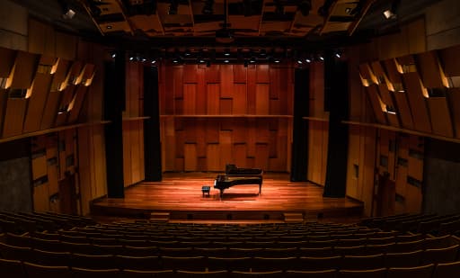The Piano 2