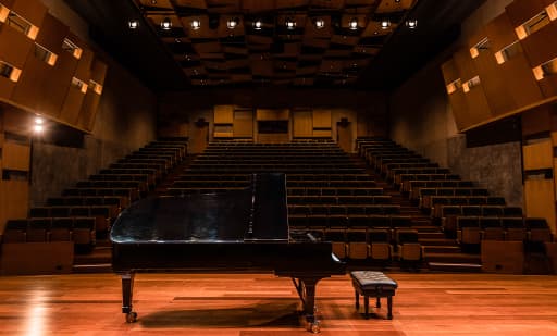 The Piano 3