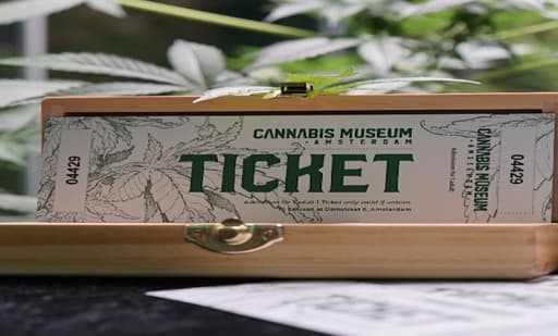 Cannabis Museum Amsterdam 1