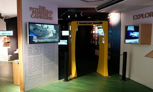 Cannabis Museum Amsterdam 2