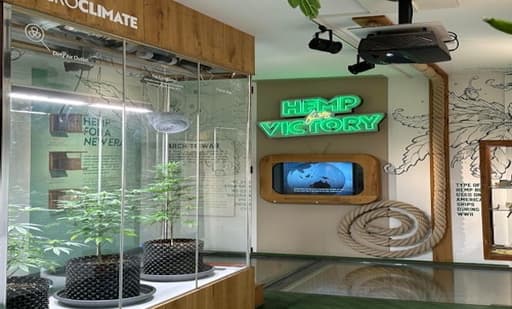 Cannabis Museum Amsterdam 3
