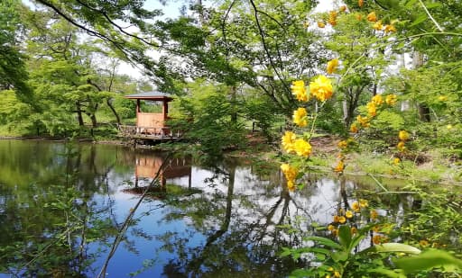 京都府立植物園：大芝生地 1