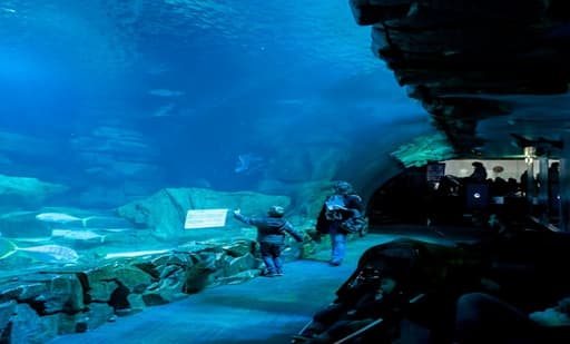 Aquarium de Paris 2