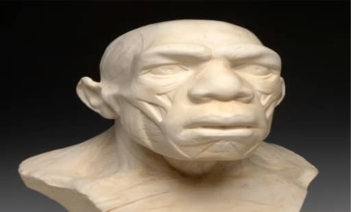 Museo del Hombre 1