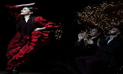 Tablao Flamenco Torres Bermejas 3