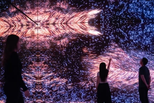 Walk through living light