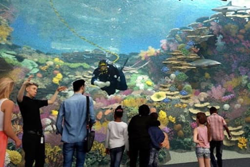 The Reef