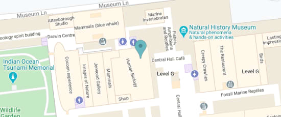 Cromwell Road, London, SW7 5BD