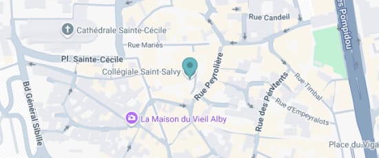 29 Rue Mariès, Albi, 81000