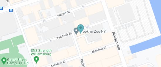 230 Bogart Street, Brooklyn, 11206