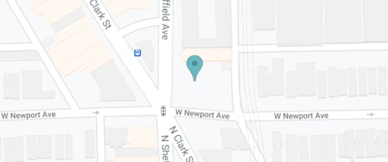 956 W. Newport Ave, 60657