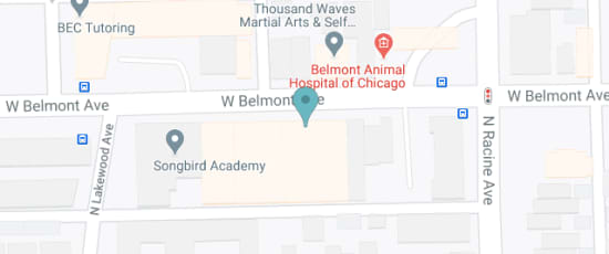 1225 W Belmont Ave, 60657-3205