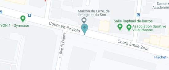 234 Cours Emile Zola, 69100