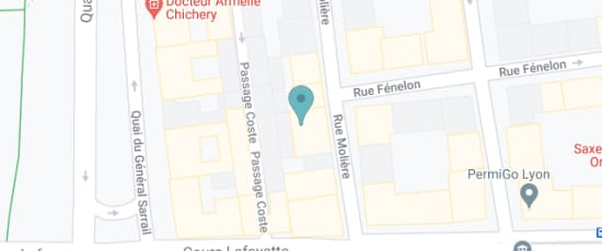 52 Rue Molière, 69006