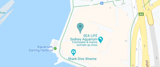 Aquarium Pier Darling Harbour, Sydney, NSW 2000