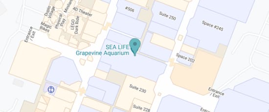 3000 Grapevine Mills Pkwy Suite 604, 76051