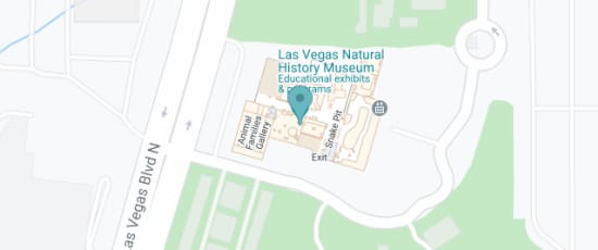 900 Las Vegas Blvd N, Las Vegas, NV 89101-1112, 89101-111