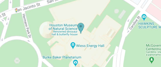 5555 Hermann Park Dr, Houston, TX 77030-1