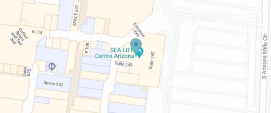 5000 S Arizona Mills Cir Ste 145, Tempe, AZ, 85282