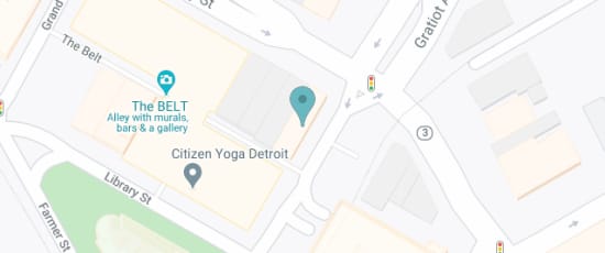 225 Gratiot Ave, 48226