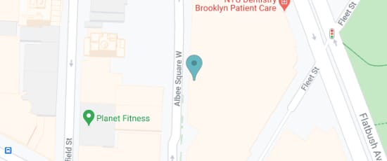 445 Albee Square W, Brooklyn, 11201